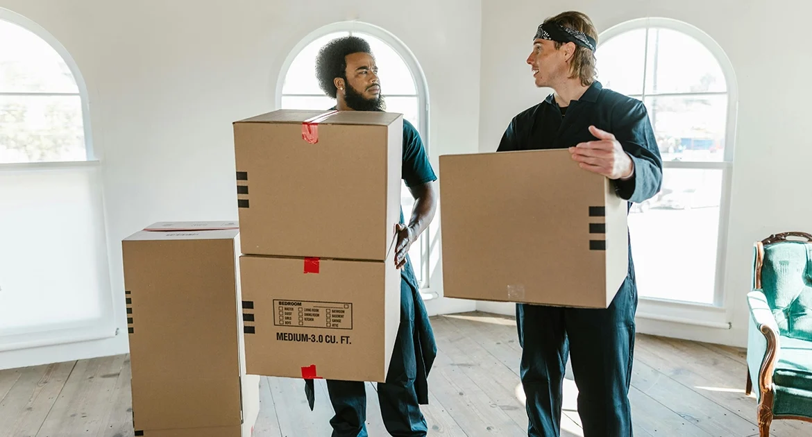 why-hire-a-professional-removal-company-in-seaford