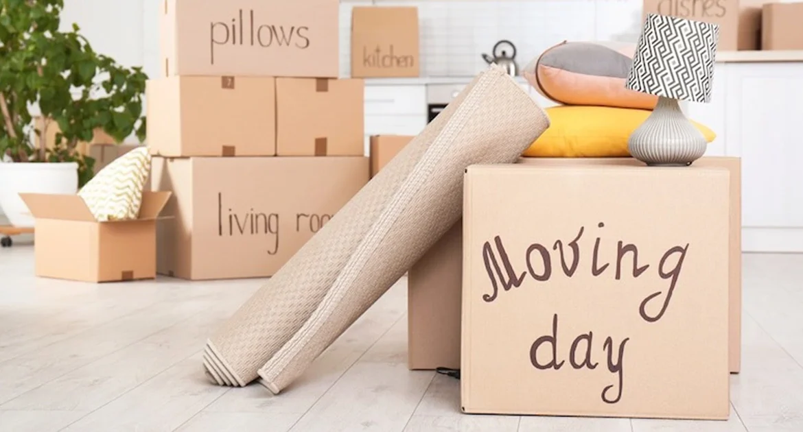moving-house-in-seaford-here’s-how-removal-companies-can-help