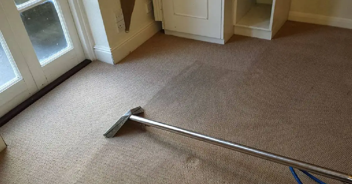 How Often Should You Schedule Carpet Cleaning in Cranbourne?
