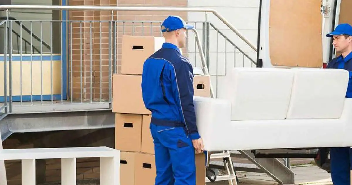 The Role of Office Removalists Melbourne in Moving Large and Complex Offices